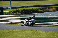 Advanced Group Orange Bikes